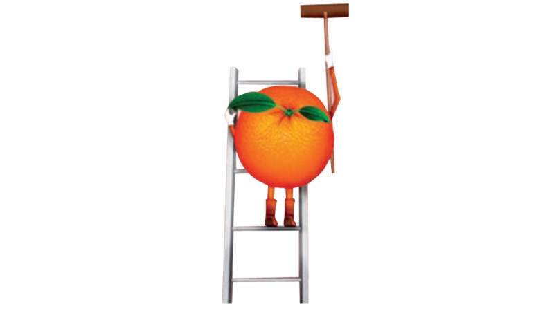 PICO Orange Man Ladder V2