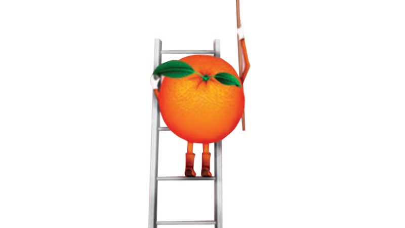 PICO Orange Man Ladder RGB